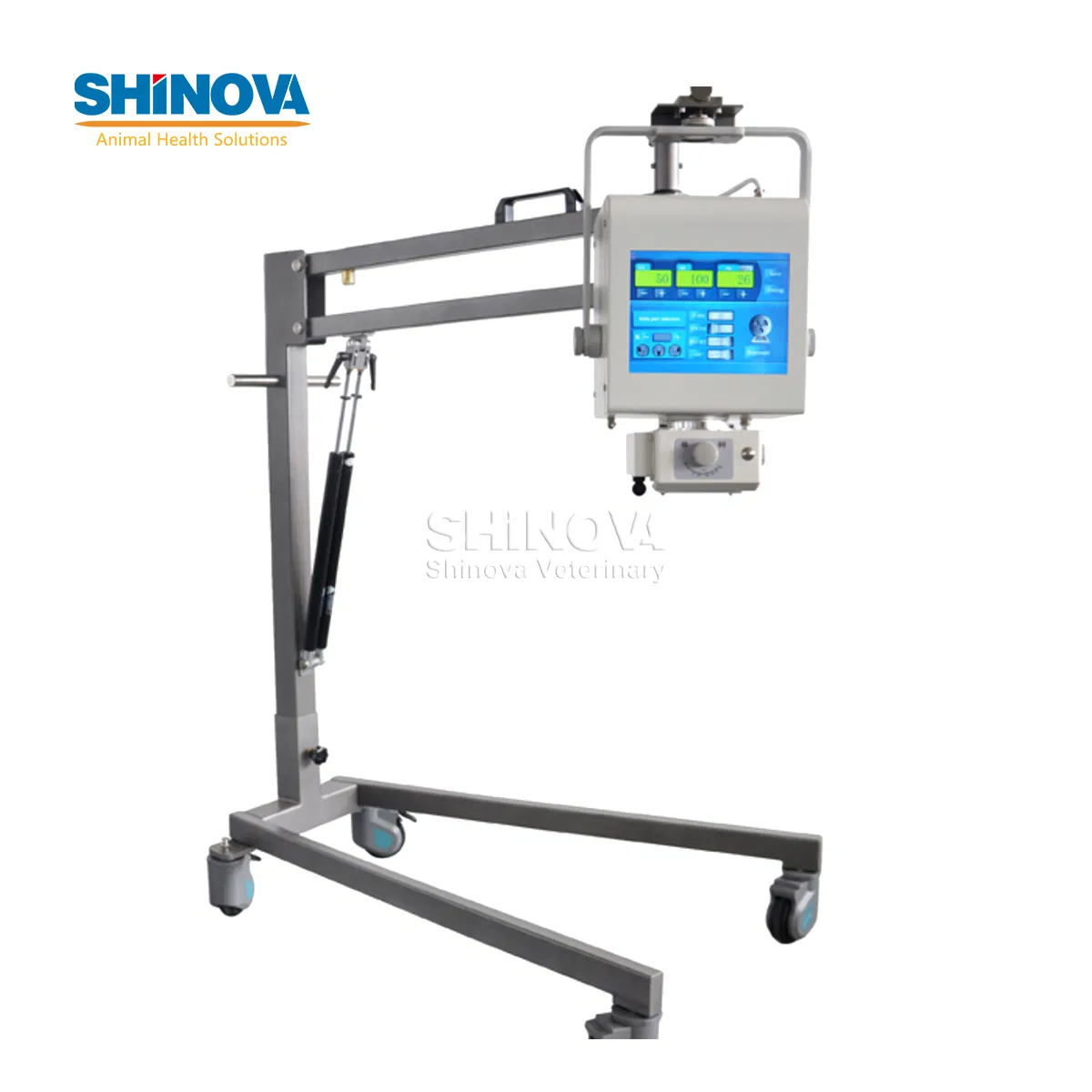 High Quality Medical Equipment Portable Veterinary Digital X-ray (DR) (DR-40V)