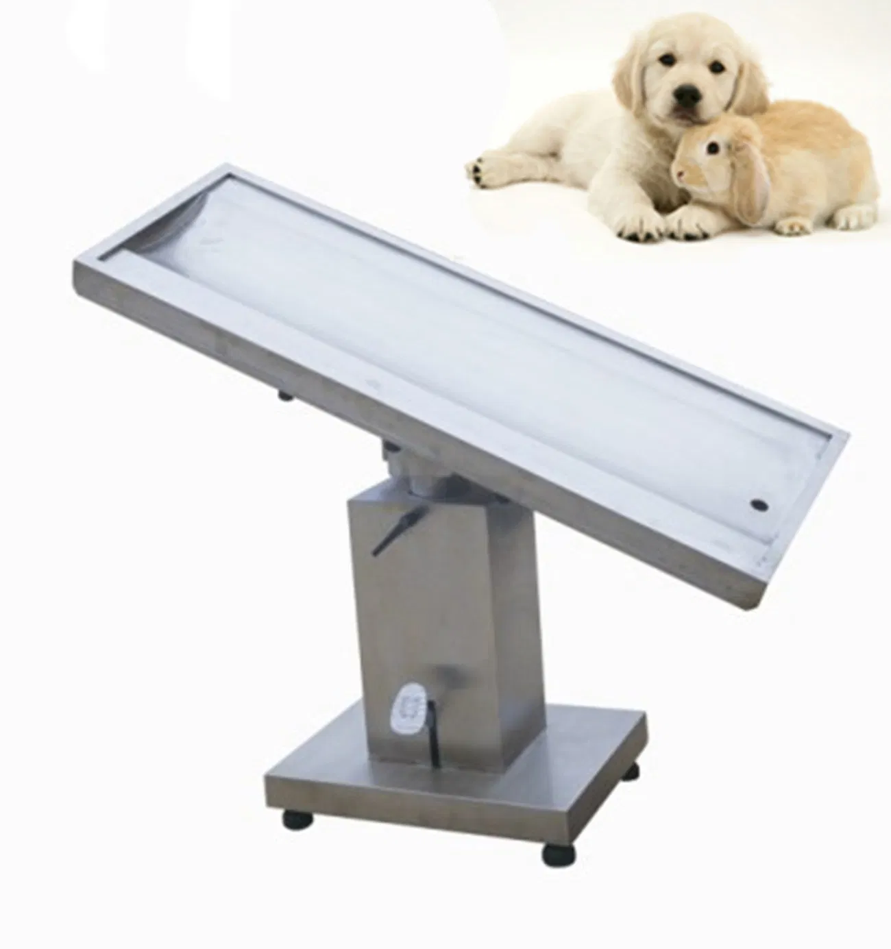 2015 New Veterinary Surgical Table
