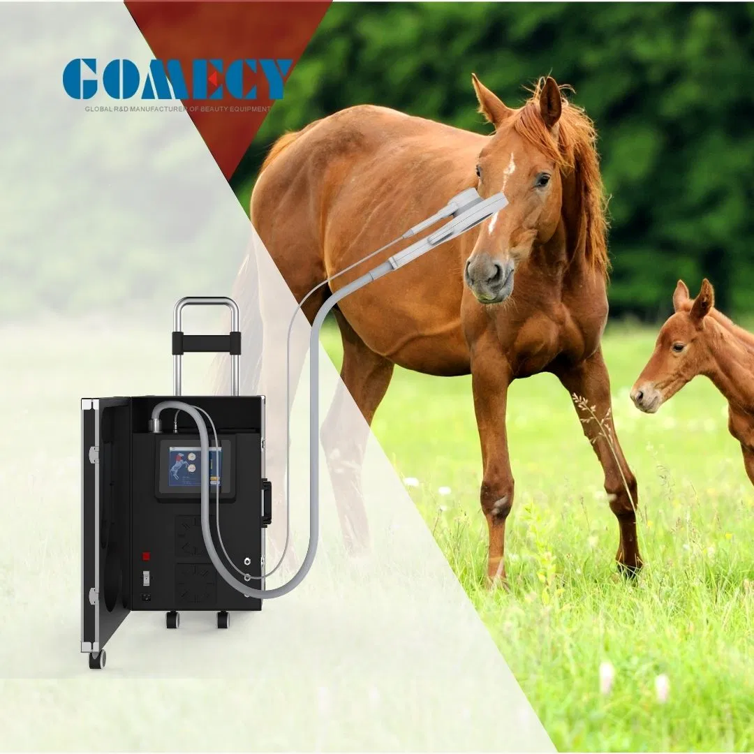 Pmst Vet Magneto Physiotherapy Equipment for Horses Back Legs Pain Remove