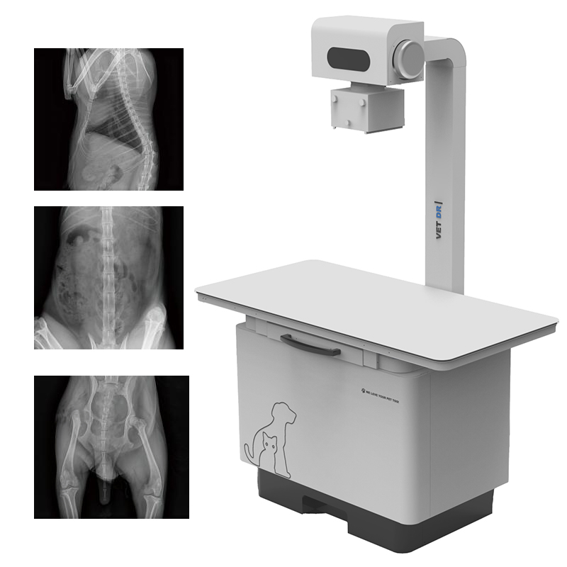 IN-32KW-P Veterinary Flat Table DR X-ray Imaging System for Animal Hospital Diagnosis