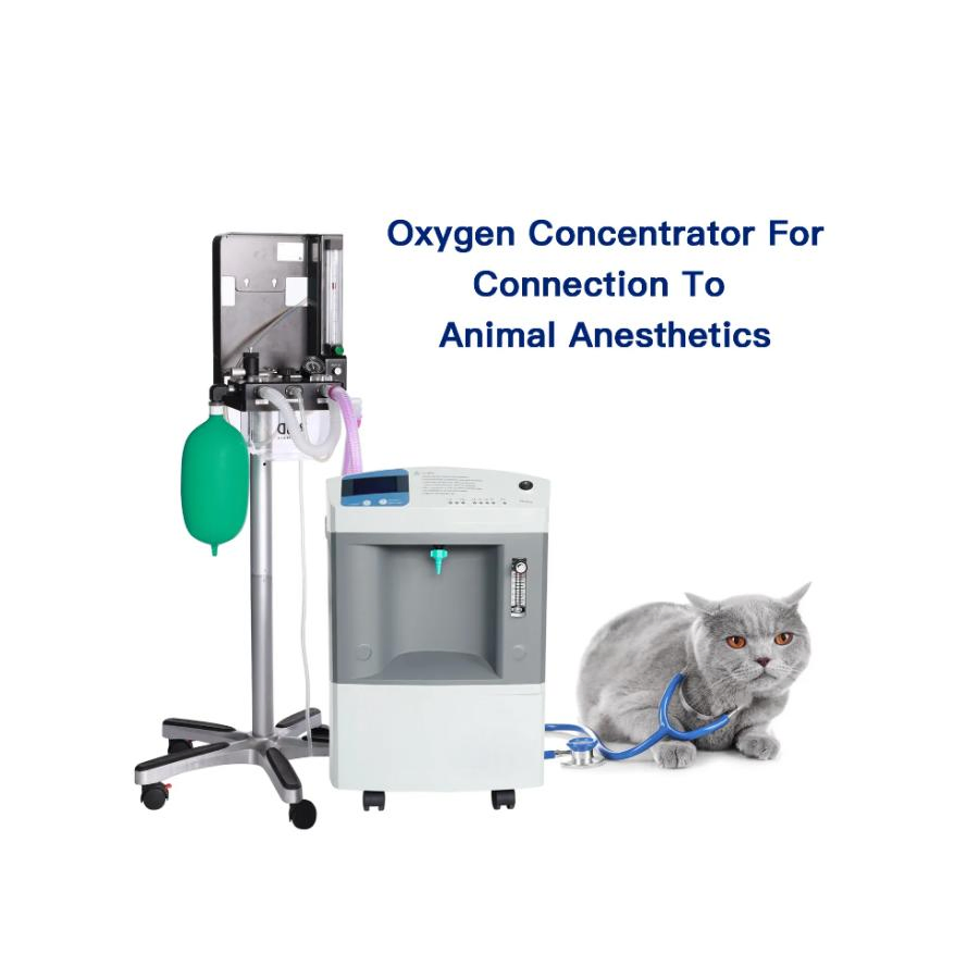 Chinese Manufacture CE Approved Veterinary Clinic Equipment Portable 10L Pet Oxygen Concentrators