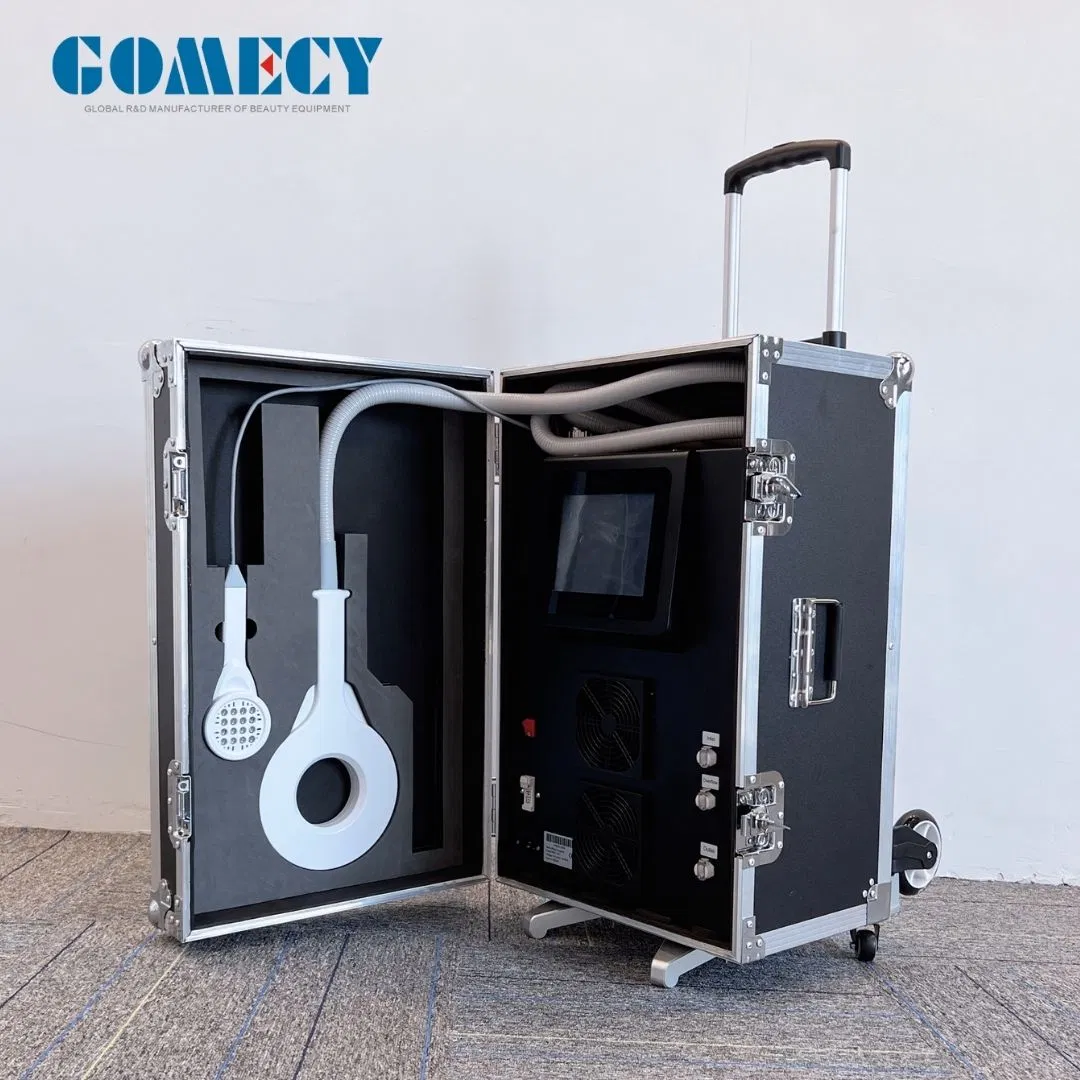 Pmst Magneto Vet Clinic Use Pulse Field Therapy Body Injury Recovery Equipment