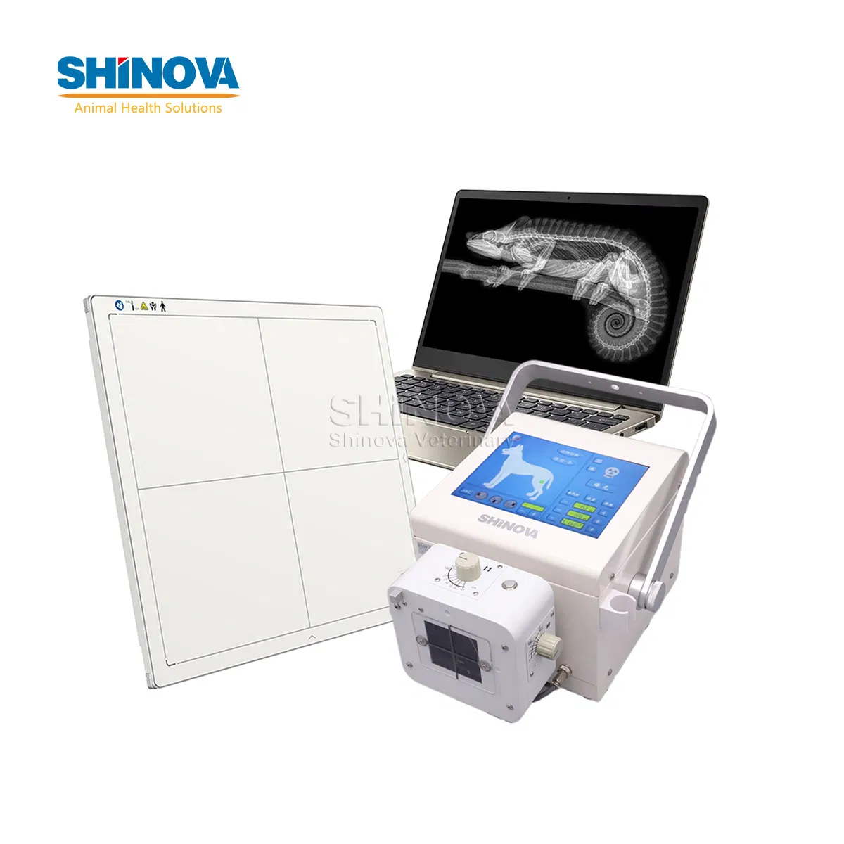 High Quality Medical Equipment Portable Veterinary Digital X-ray (DR) (DR-40V)
