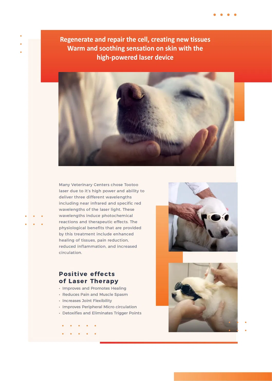 Veterinary Laser Therapy Details