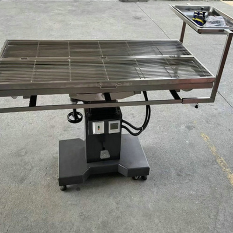 Pet Dog Veterinary Treating Table Surgical Animal Dog Clinic Operation Table