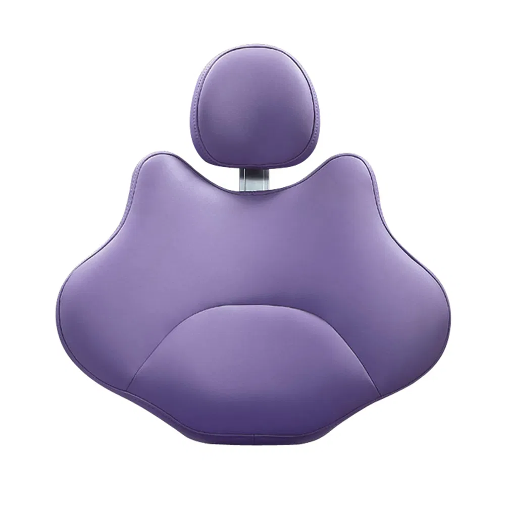 Hot Selling Gladent Veterinary Dental Equipment with Low Price