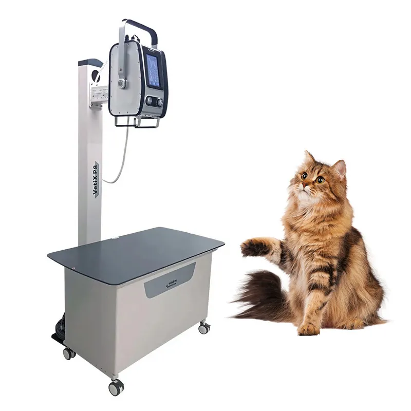 Veterinary Ultrasound System 5