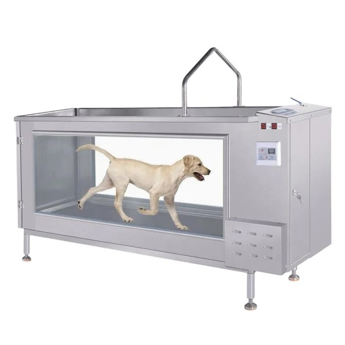 Customizable Water Temperature Metal Pet Underwater Treadmill Electric Physiotherapy Machine for for Veterinary Use