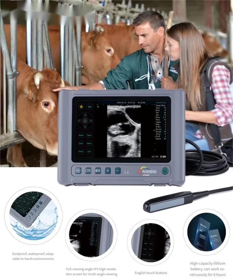Palm Full-Digital Veterinary Ultrasound System