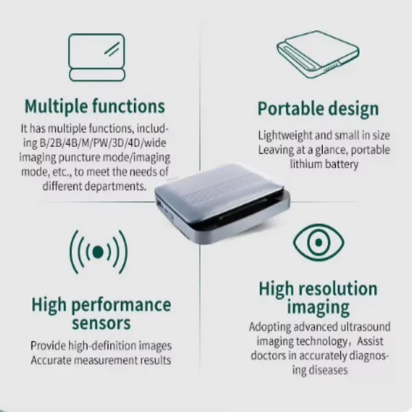Veterinary Ultrasound Side View
