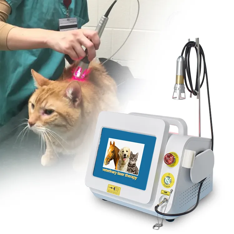 Laser Therapy Device