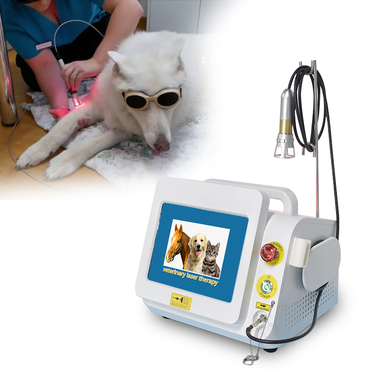 Doctor Recommended Veterinary Rehabilitation Animal Physical Therapy Pain Relief Physiotherapy Laser Equipment