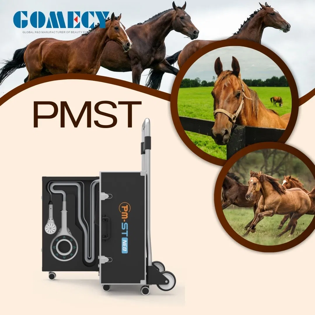 Pmst Vet Horses Muscle Recovery Body Pain Relief Equipment