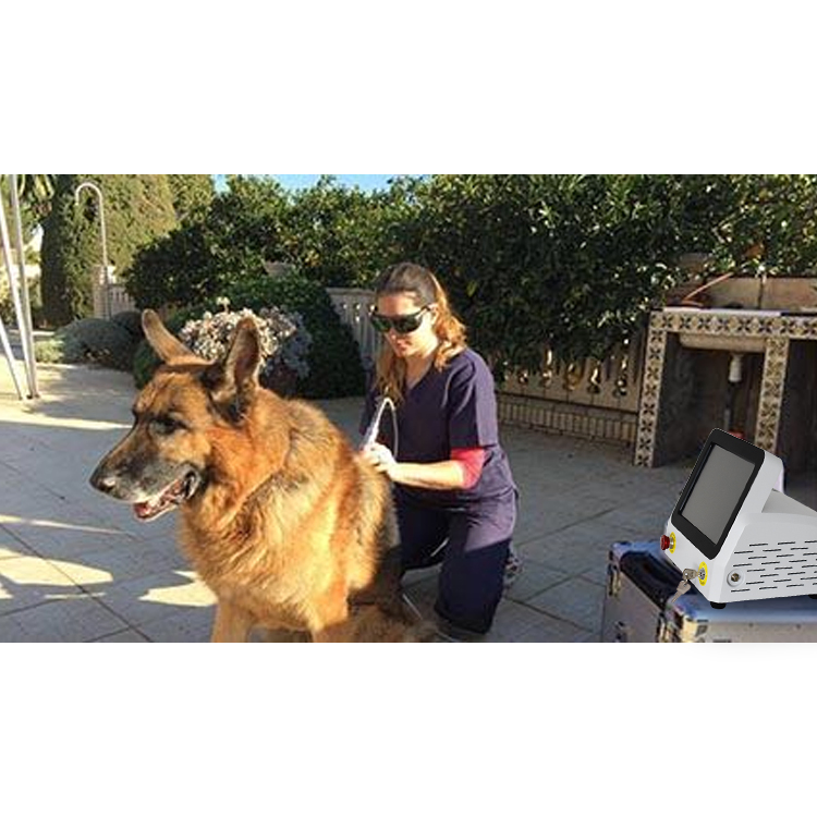 2023 980nm Laser Physiotherapy Veterinary Veterinari Horses Therapy Equipment
