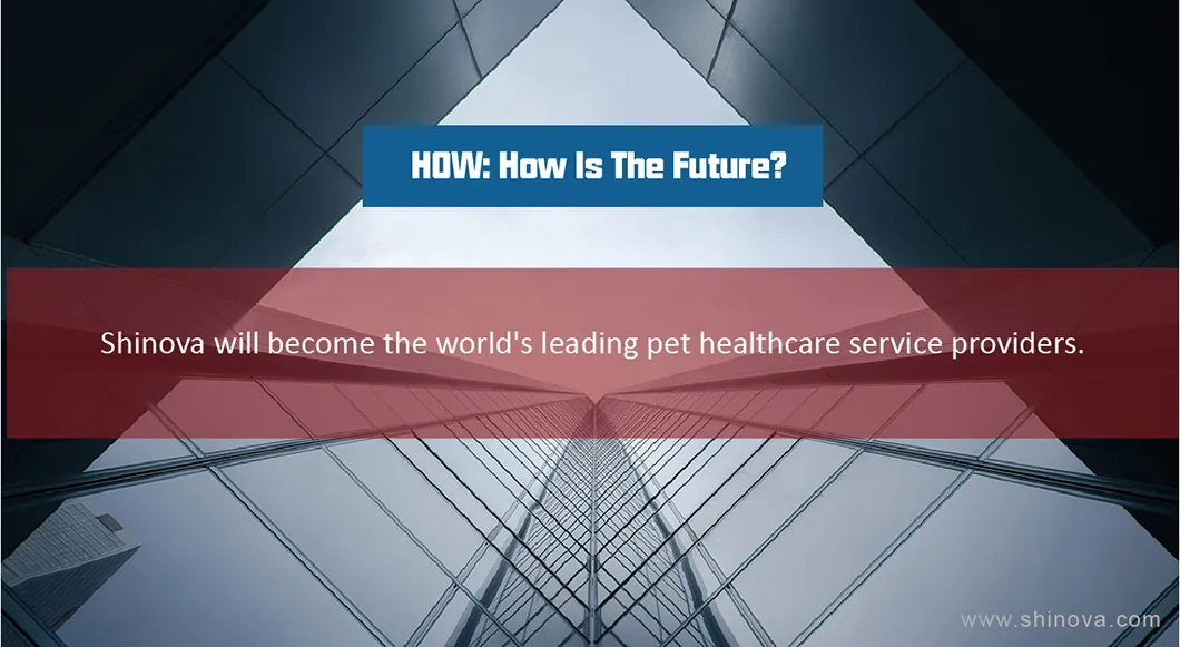 Veterinary Imaging Solution