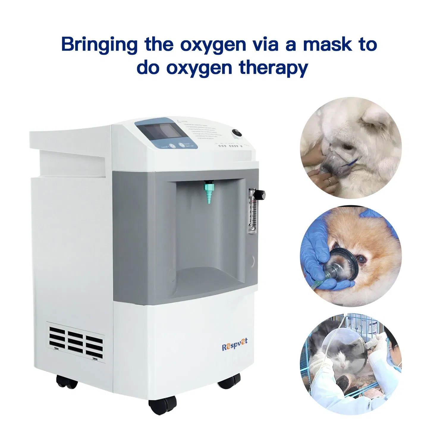 Longfian 93% High purity 10L animal medical veterinary oxygen concentrator connected to chamber