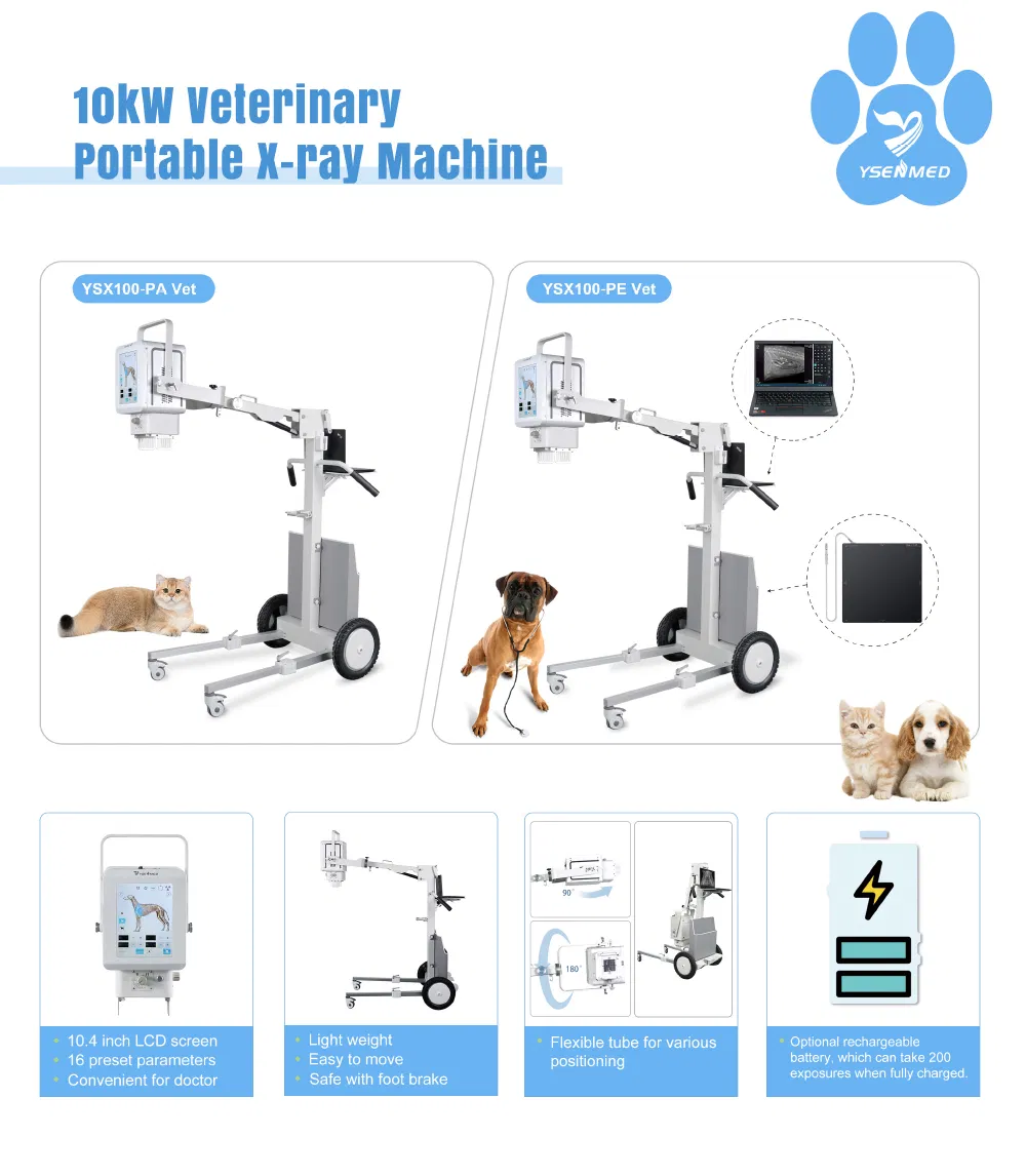 Veterinary X-ray Detail 1