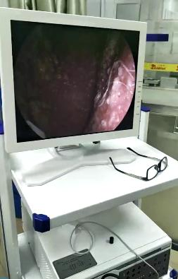 Complete Set Veterinary Endoscopy System