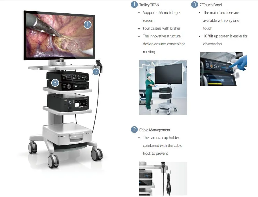 Endoscopy System 7