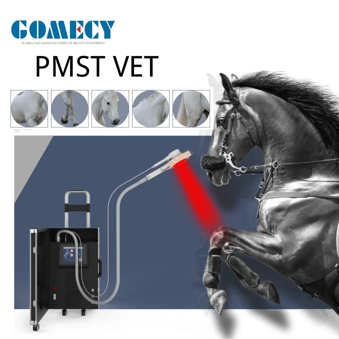 Pmst Magneto Physiotherapy Equipment Pmst Vet Physiotherapy Treatment Equipment