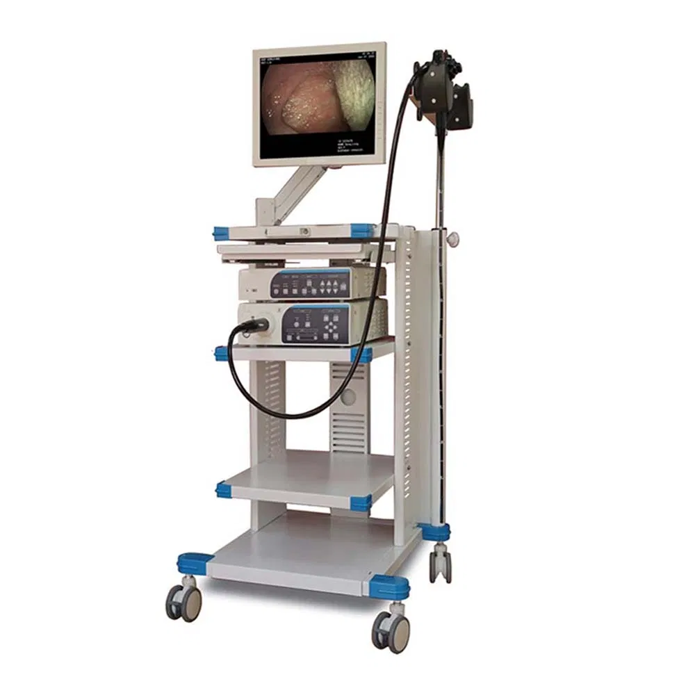 Professional Hospital Medical Gastrointestinal Endoscopy Video Gastroscope Endoscope Camera Veterinary Endoscope System