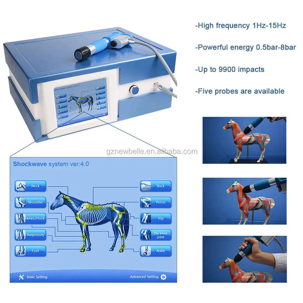 Shovkwave for Horses Treatment Horse Magnetic Therapy Massage Massage Equipment Rehab Rehabilitation Treats Machines Veterinary