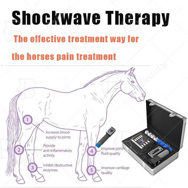 Shockwave Therapy Device