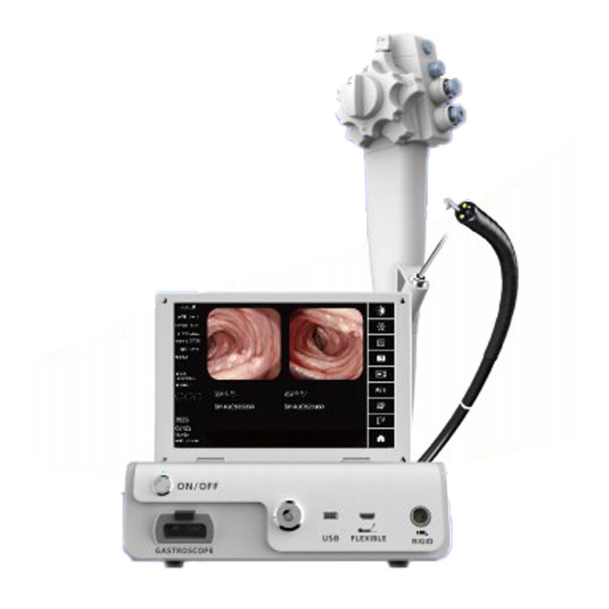 IN-AIO12 Veterinary All-in-One Endoscope Processor Rigid &amp; Flexible Endoscopy Camera System