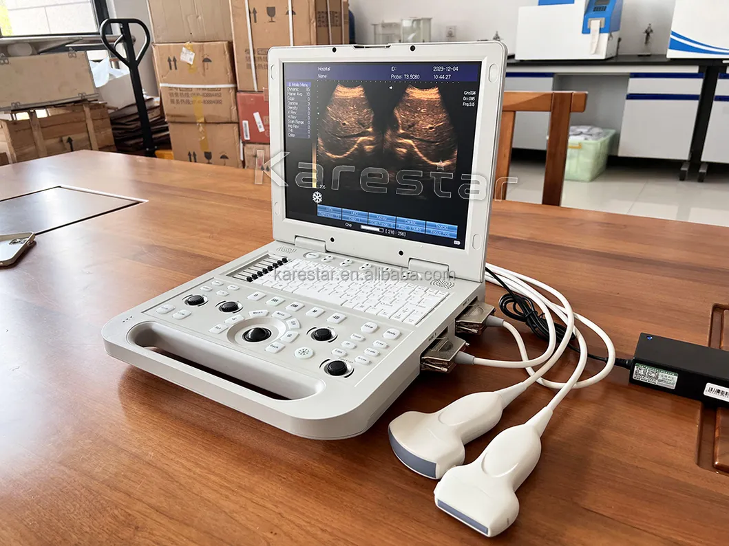 Vet Ultrasound View 3