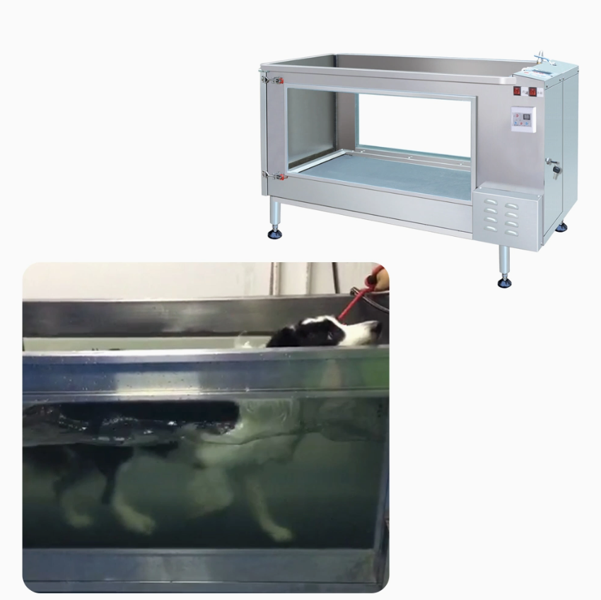 Customizable Water Temperature Metal Pet Underwater Treadmill Electric Physiotherapy Machine for for Veterinary Use