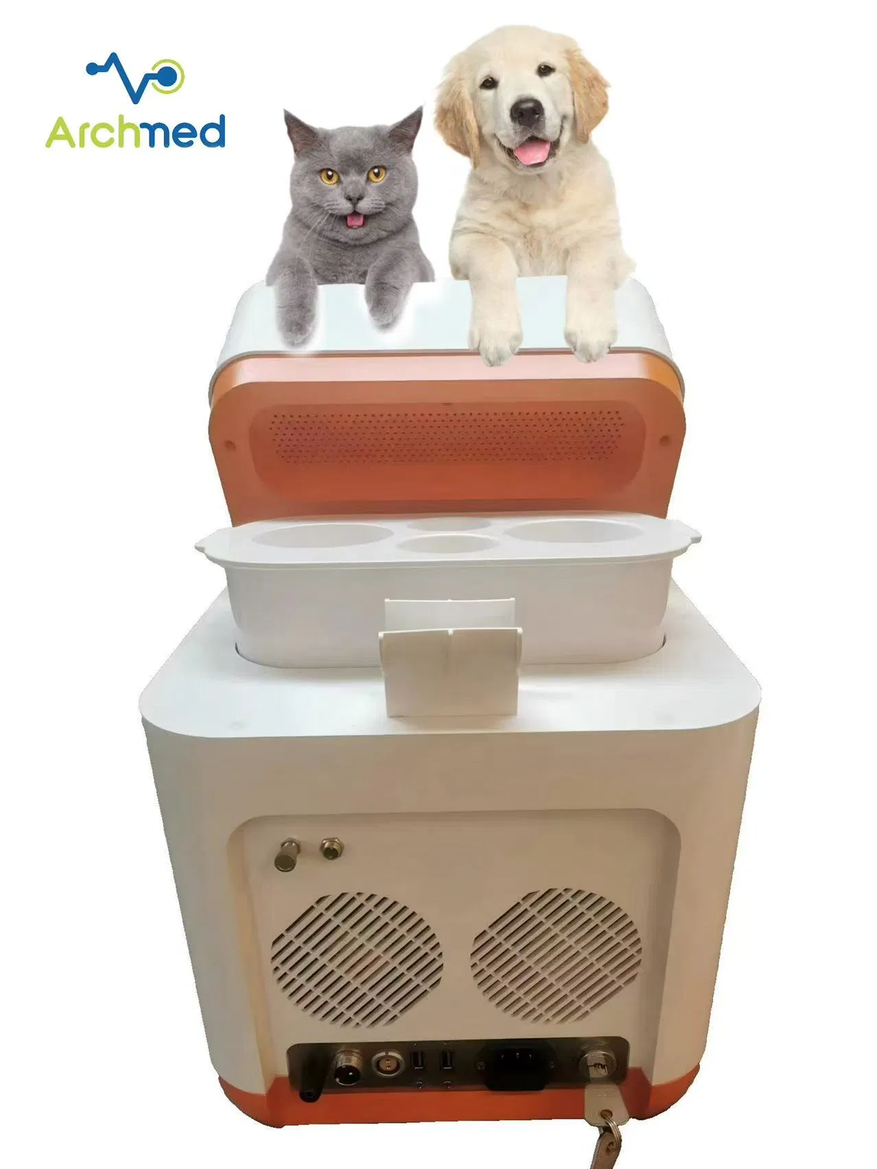 Veterinary Instrument Laser Animal Physiotherapy Pet Therapy Veterinary Therapy Equipment Price
