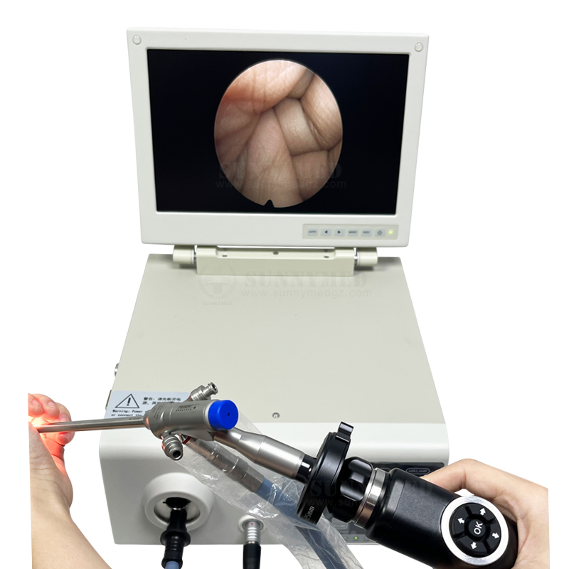 Sy-P033-2 Portable All in One Video Otoscope Veterinary Endoscopy Camera System