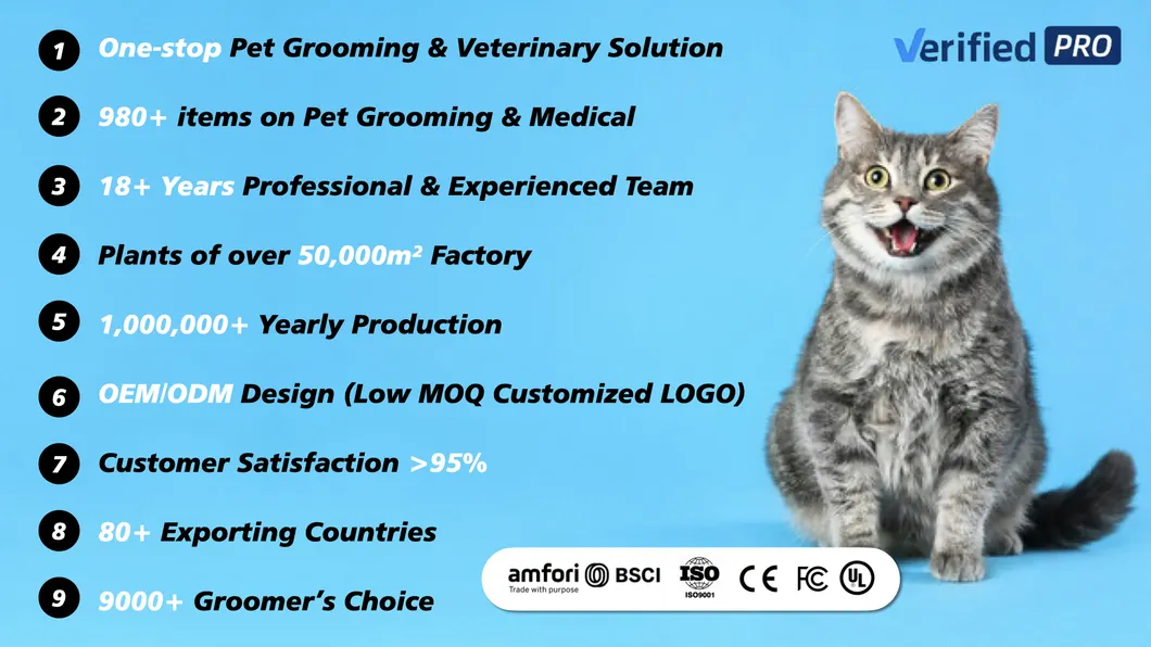 Veterinary Clinic Cage