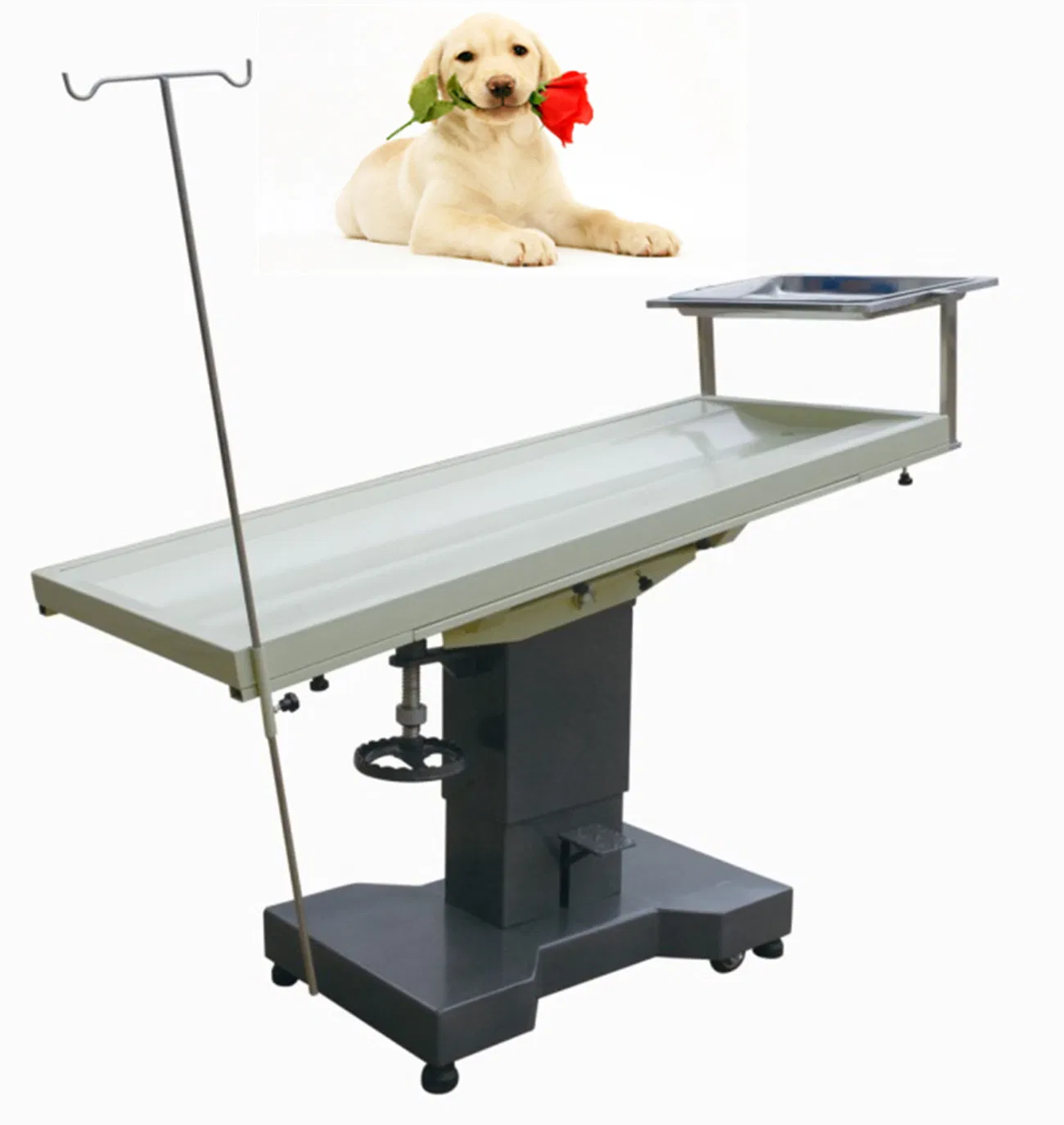 Dwv Veterinary Animal Surgical Table