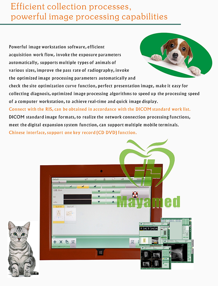 Veterinary Xray Machine Digital Radiography Mobile Animal Hospital Prices Radiography Equipment