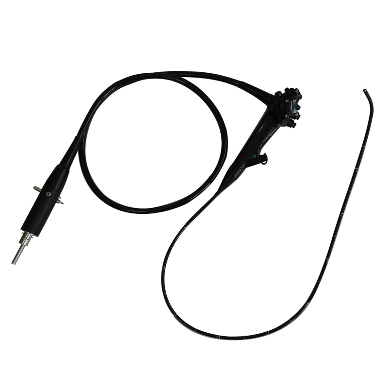 Medical Video Endoscopy Gastroscope Colonoscope Veterinary Endoscope Camera Dog Endoscopy System