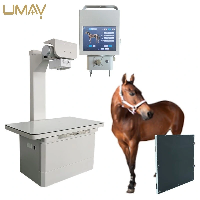 High Quality Electric Pet X-ray Machine Professional Use Metal Animal Health Equipment Veterinary Hospitals Use X Ray