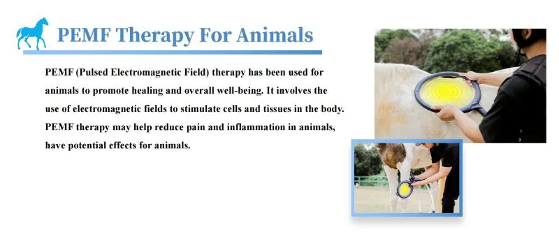 Medical Application 3