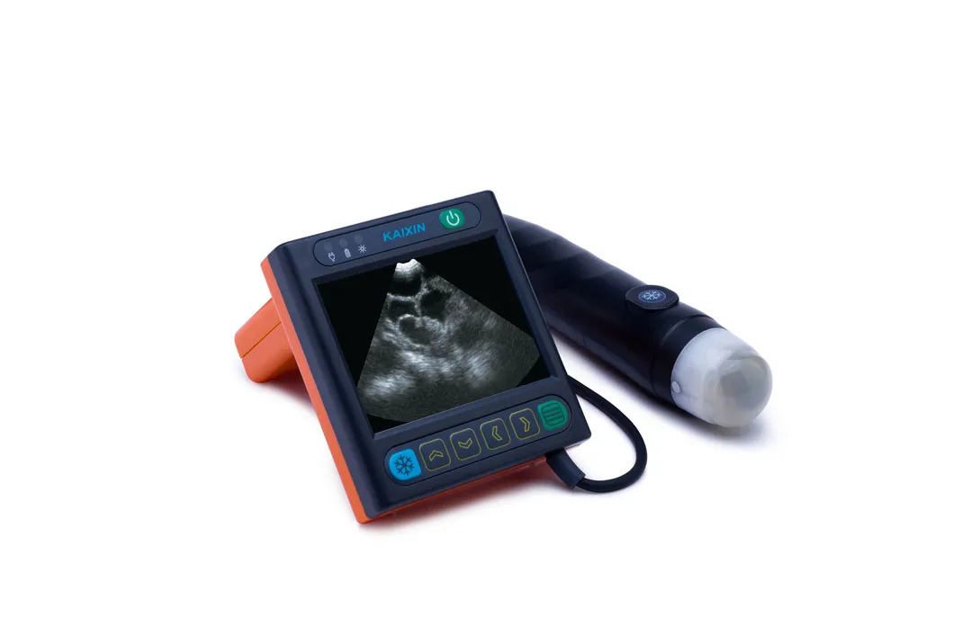 Veterinary Ultrasound Instrument