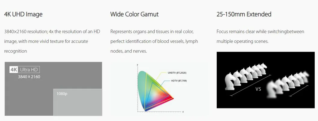 Endoscopic Veterinary Practitioner