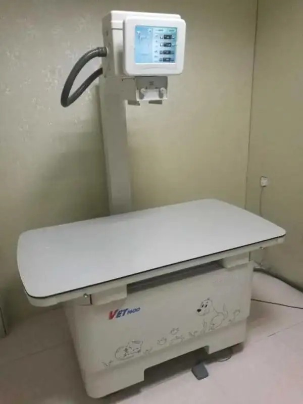 Vet Digital Radiography System Veterinary X-ray Equipment Medical Animal X Ray Equipment
