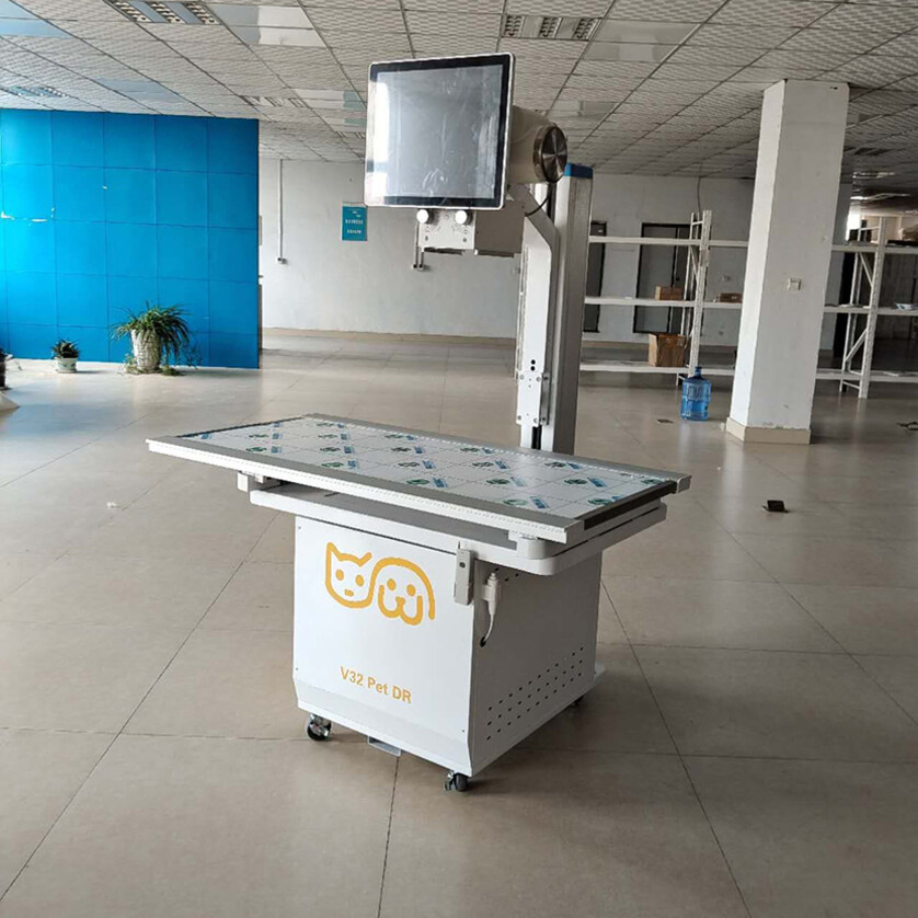 High Quality Derry Veterinary X-ray Equipment Pet Clinic Dog Cat Animals Digital Veterinary Dr Imaging System