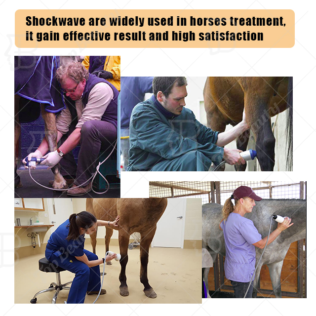 Equine Use Rehabilitation Equipment Shockwave Therapy Physiotherapy Veterinary Horse Shockwave Therapy Device
