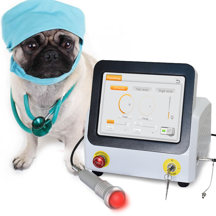 2023 980nm Laser Physiotherapy Veterinary Veterinari Horses Therapy Equipment