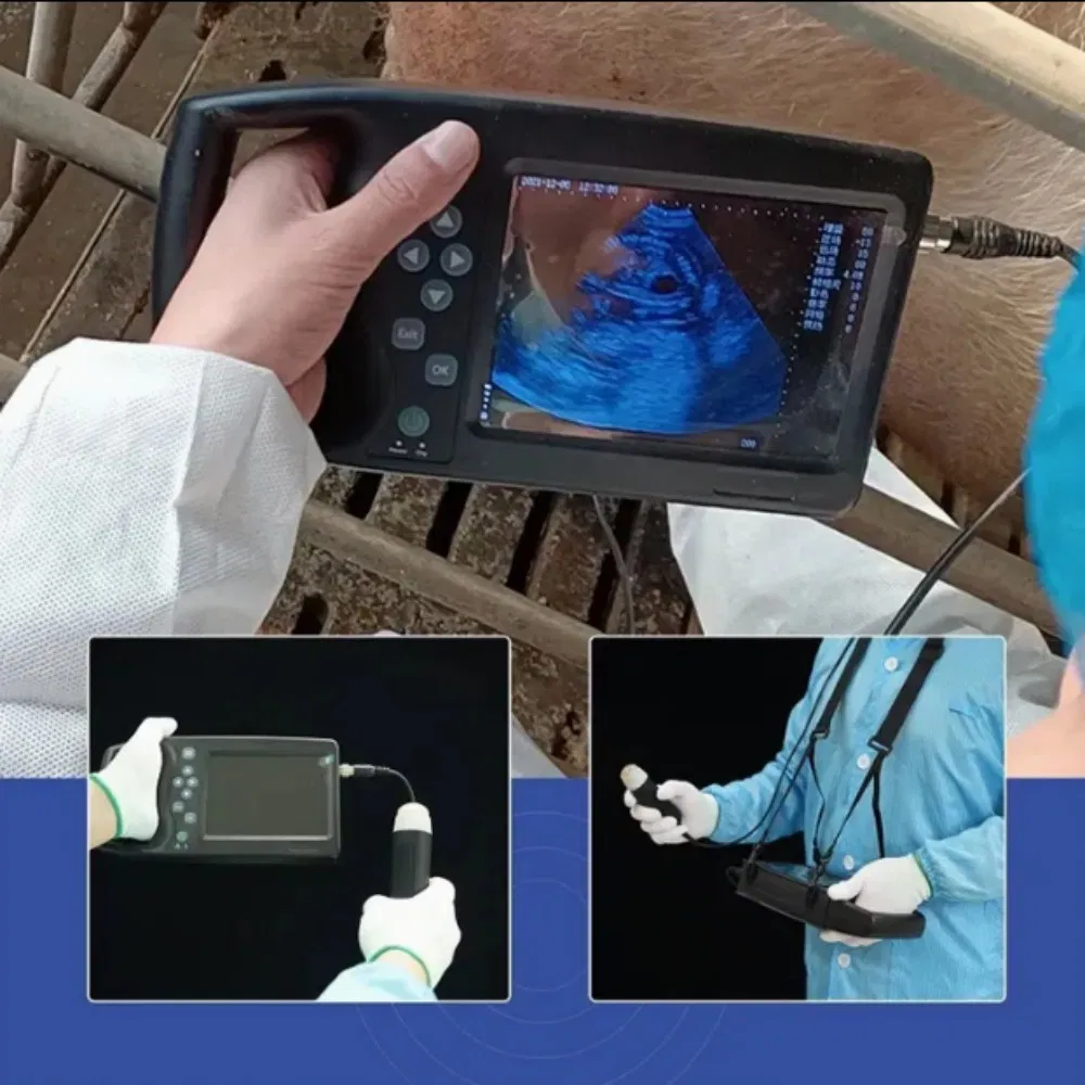 Mt Medical Portable Handheld Professional Animals Palm Full-Digital Veterinary Ultrasound Machine System Price