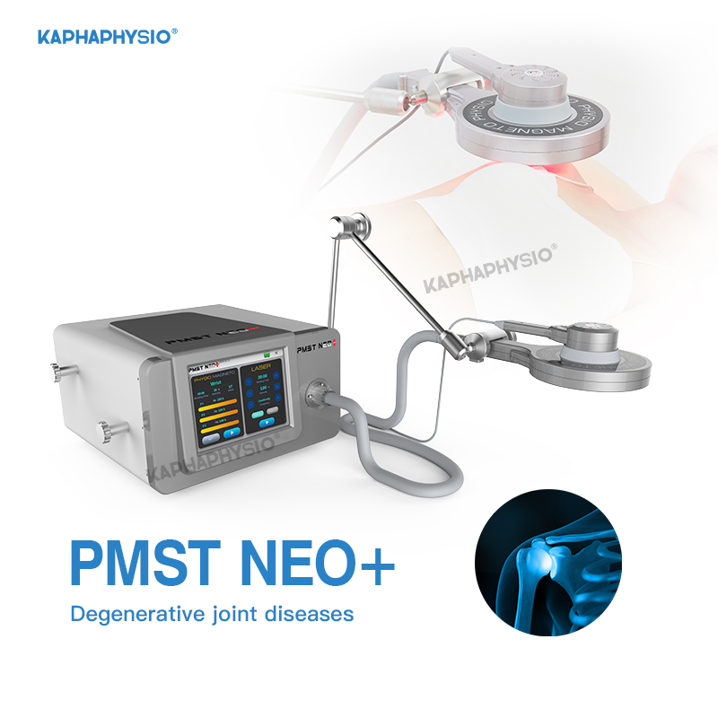 Kaphaphysio Veterinary Pmst Neo Plus Pemf and Laser Equipment for Pet Rehabilitation Physiotherapy Rehabilitation