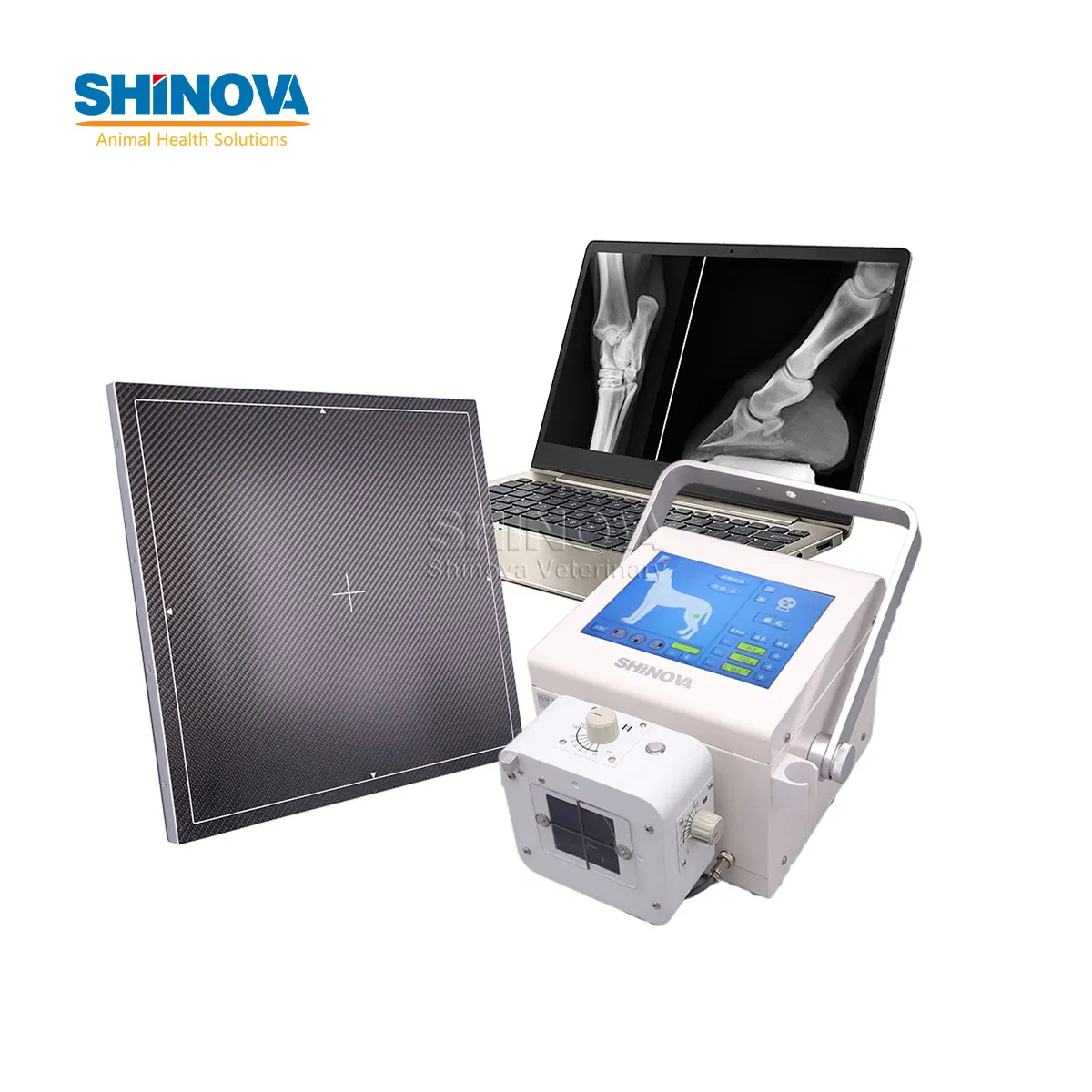 High Quality Medical Equipment Portable Veterinary Digital X-ray (DR) (DR-40V)
