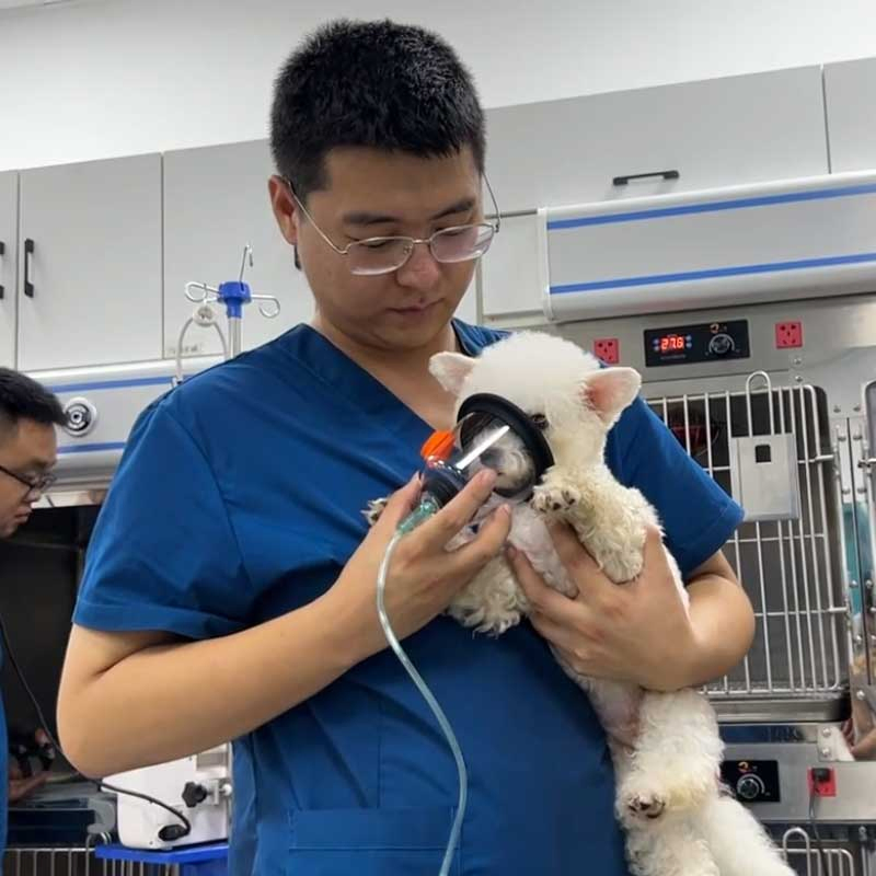 Veterinary Care Medical Grade Vet Oxygen Concentrator (AE-5-N)