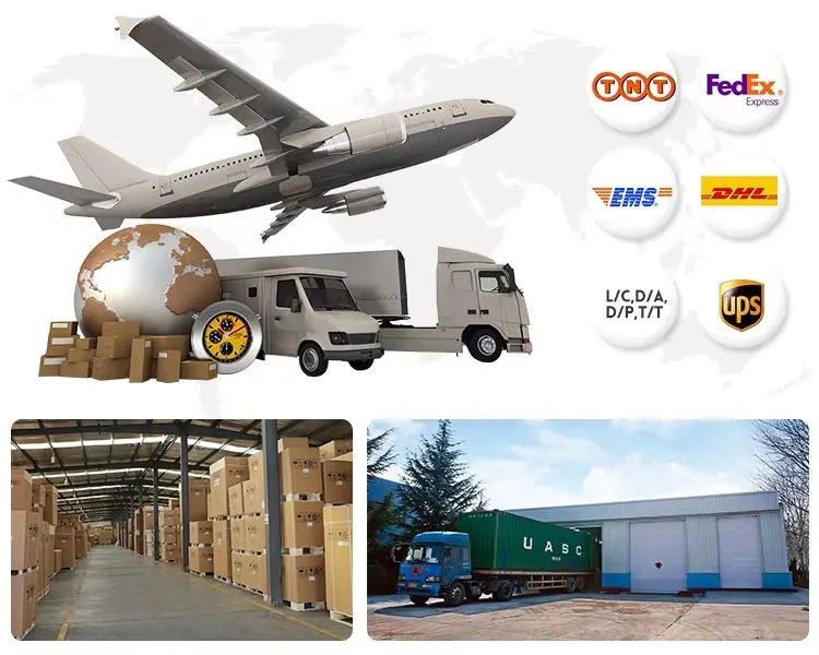 Packaging and Logistics