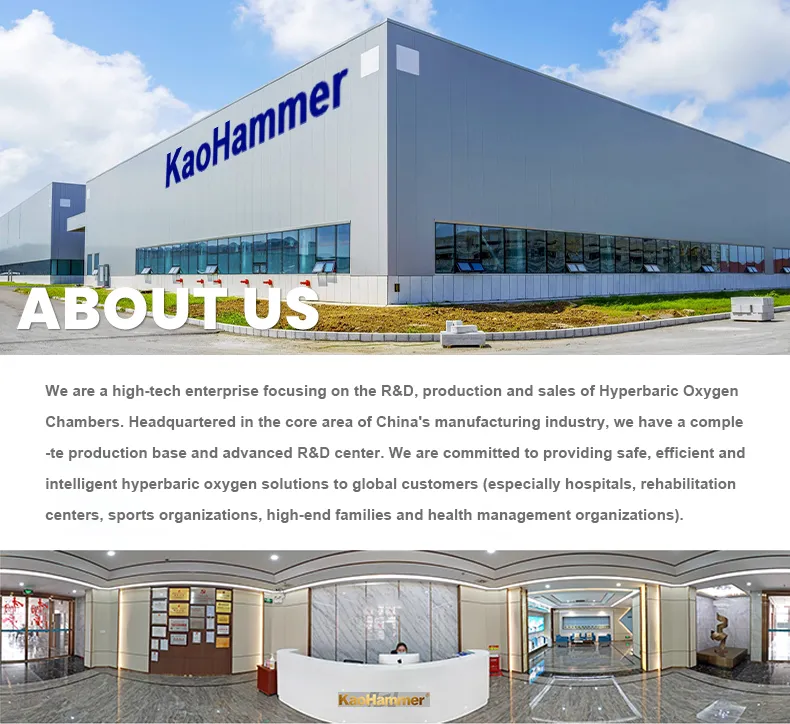 Portable Oxygen Concentrator